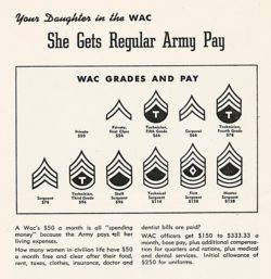 WAAC WAC WWII Women's Uniform: A Way to Help Preserve History • Studio ...